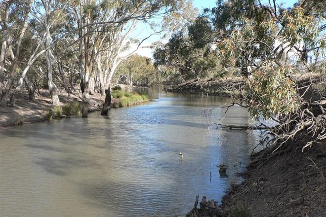 Picture of "Whiporie Park" 1537ha - 3793ac, CONARGO NSW 2710