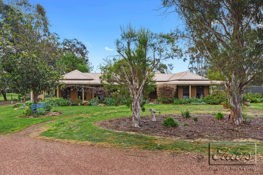 120 Williams Road, Myers Flat VIC 3556, Image 0