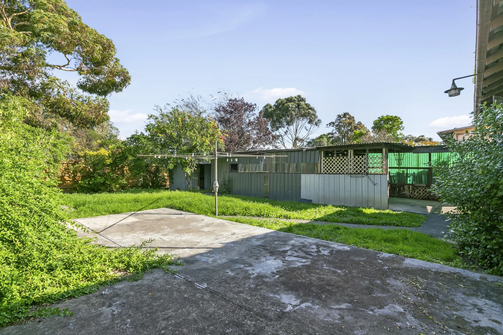 Image 8