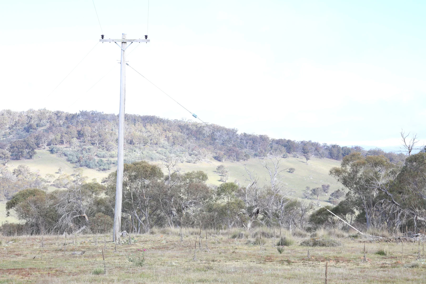 Image 14