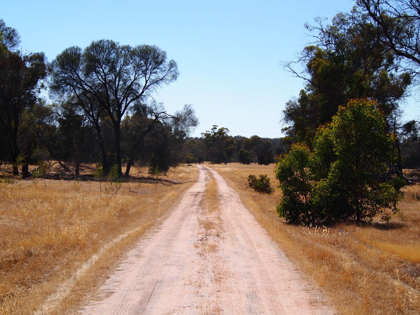 Muja Downs, Albany Highway, Beaufort River WA 6394, Image 2