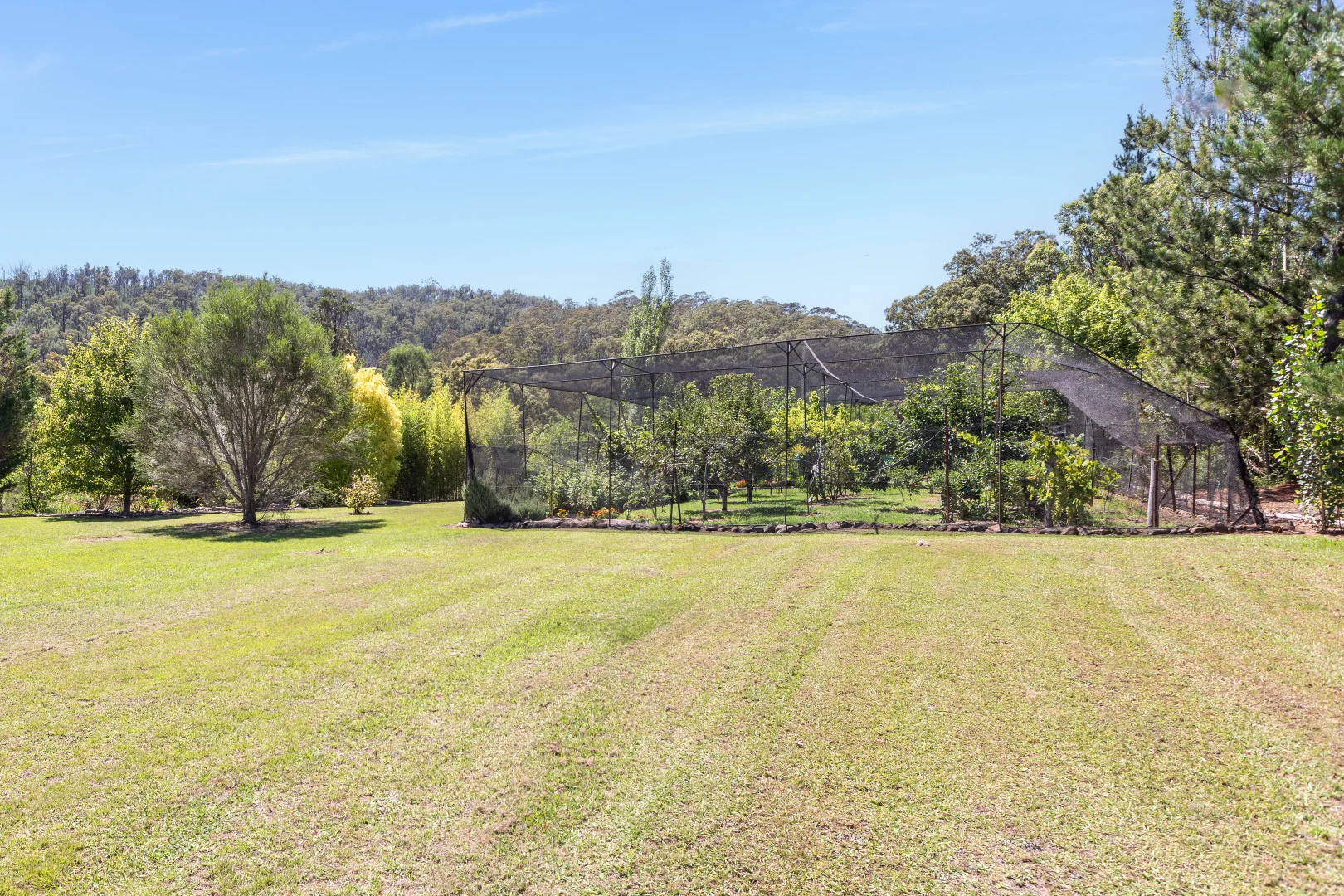Additional image 15 of 618 New Buildings Road, Wyndham NSW 2550