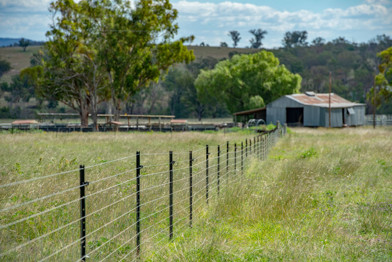 51 Spring Creek Road, Terrica QLD 4387, Image 2