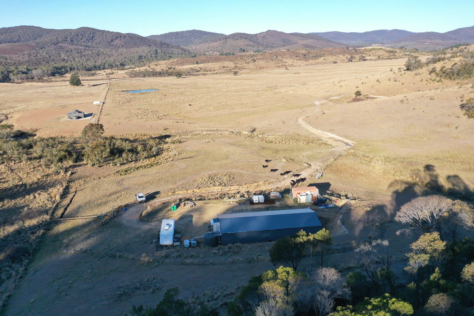 Specialist Farm in 6 Silver top Lane, BRAIDWOOD NSW, 2622