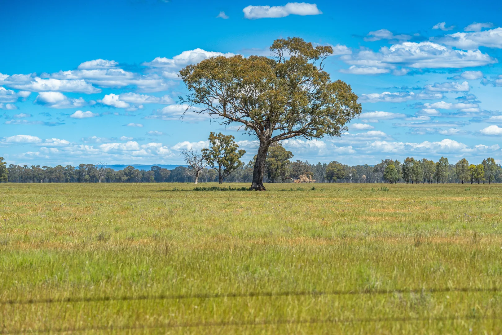 Additional image 33 of CA1, Section W Taylors Bridge Road, Norong VIC 3682