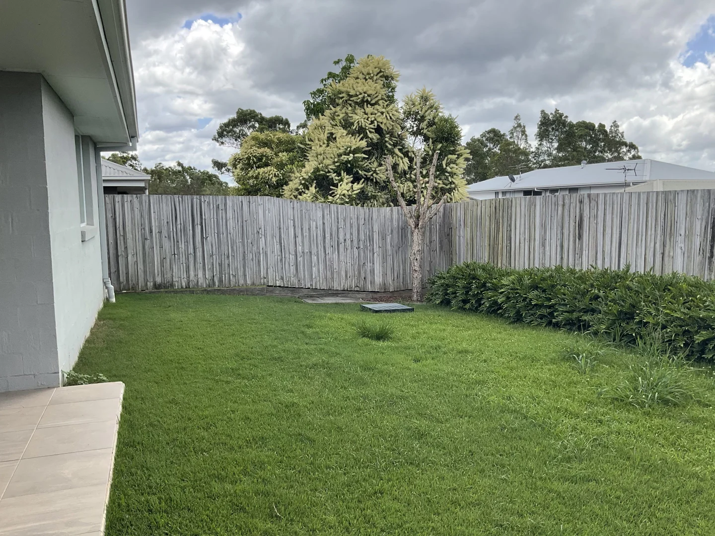 Image 14