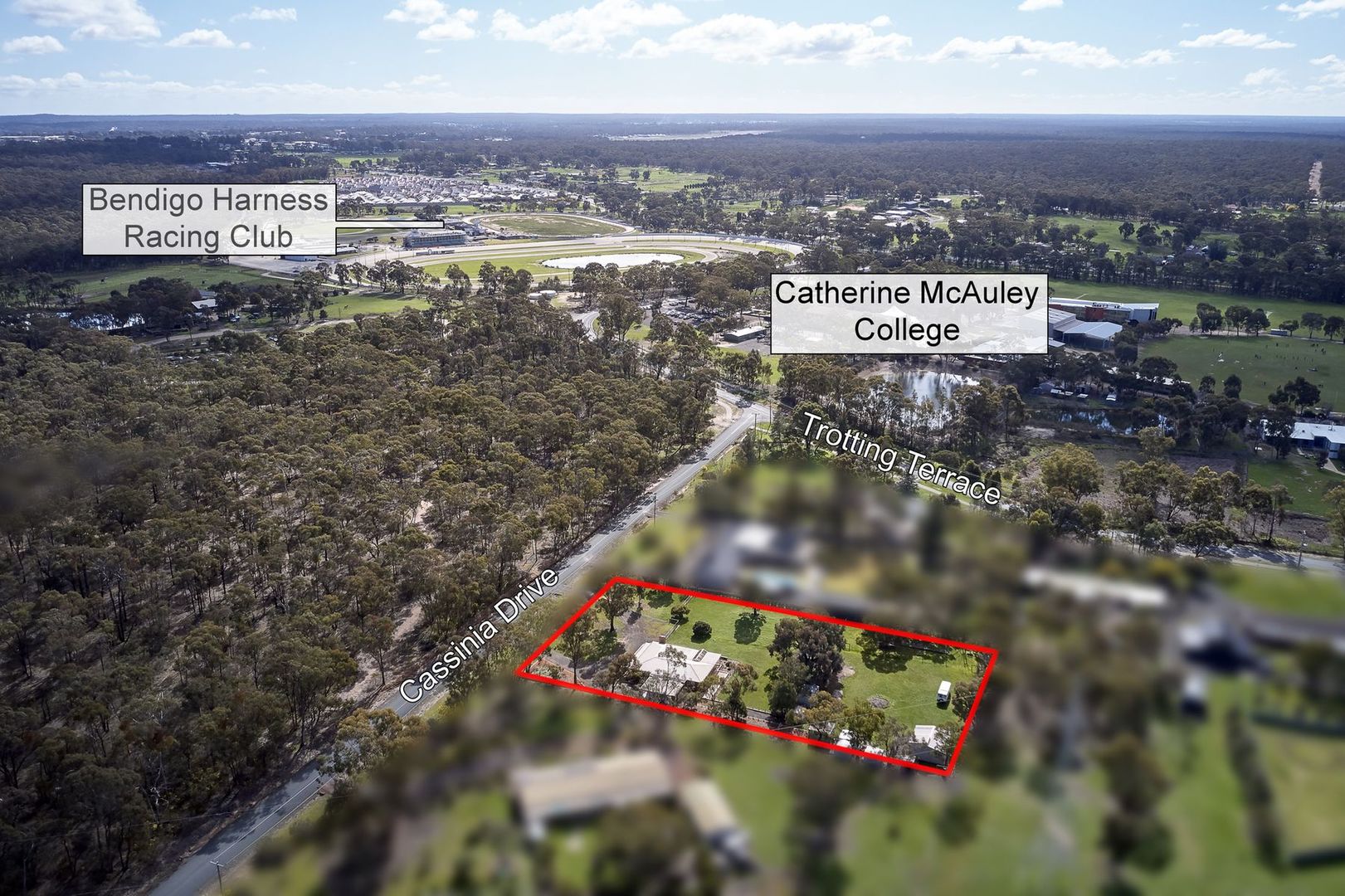 19 Cassinia Drive, Junortoun VIC 3551, Image 1