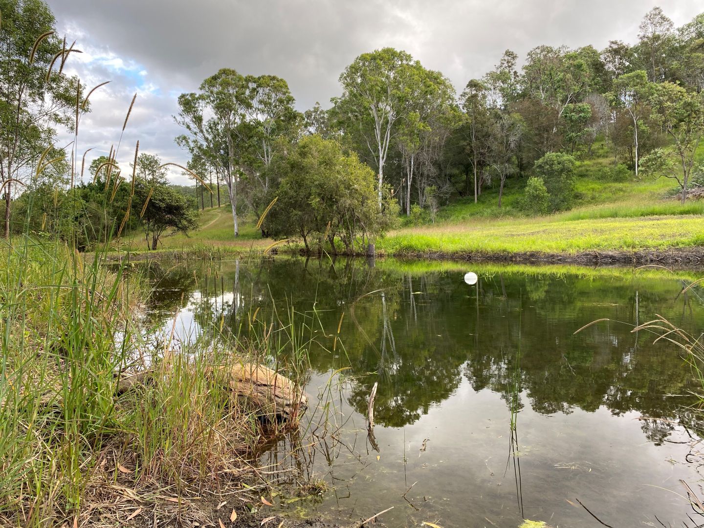 Gate 60 Dayboro Road, Rush Creek QLD 4521, Image 1