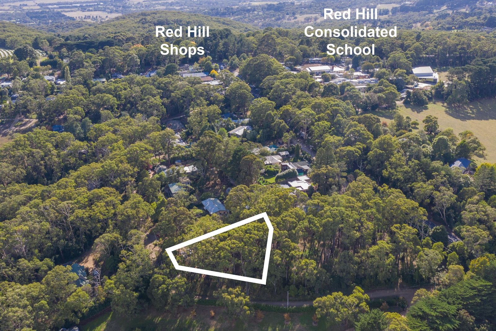 33 Elizabeth Road, Red Hill VIC 3937, Image 1