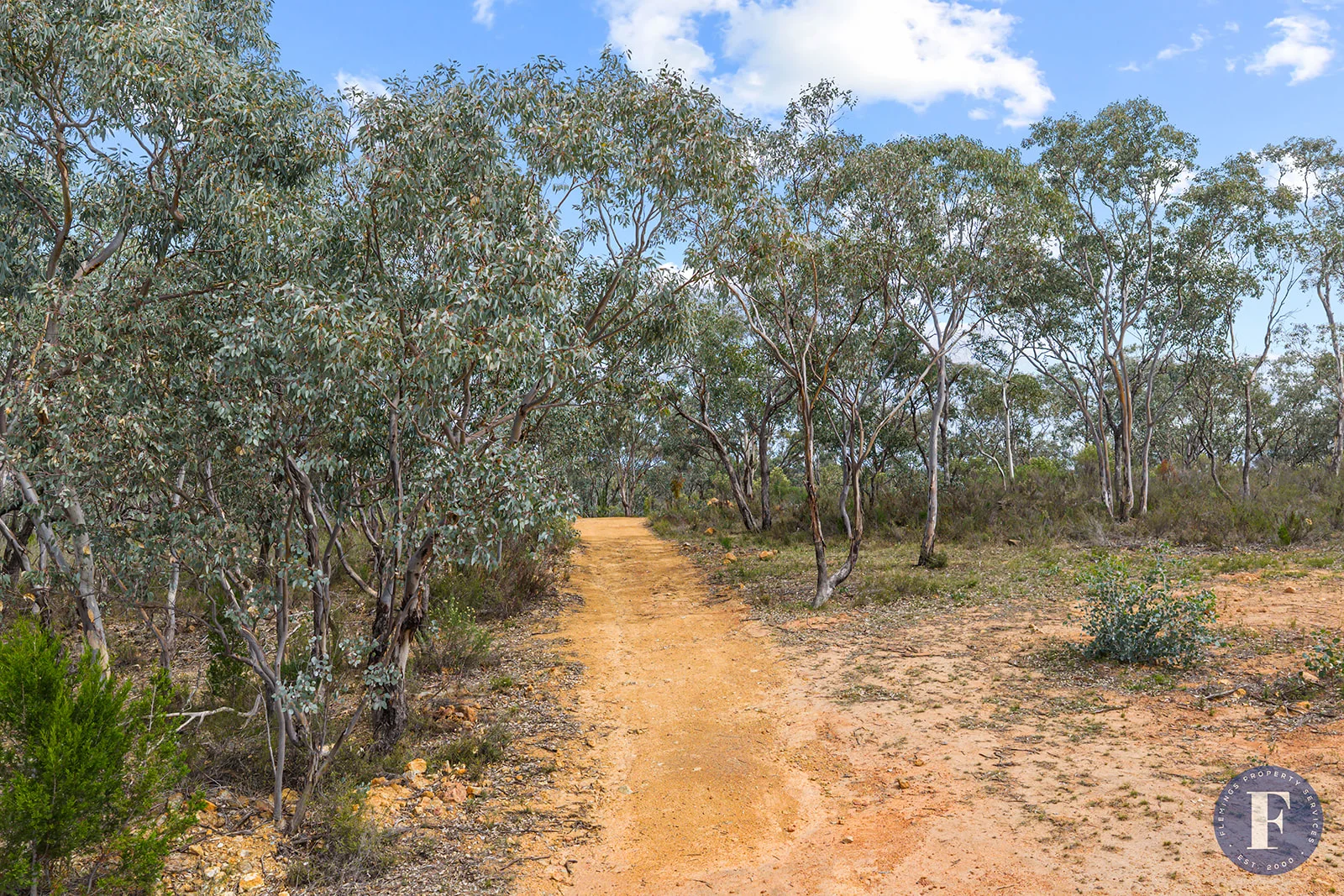 Image 14