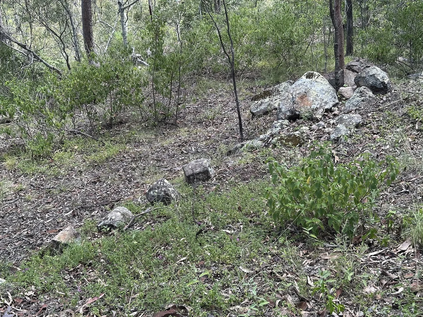 Additional image 23 of 142 Highland Street, Esk QLD 4312