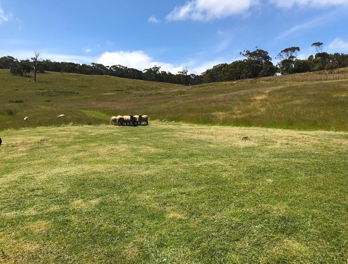 Vacant land in 13 Mhabri Lane, NARRAWONG VIC, 3285