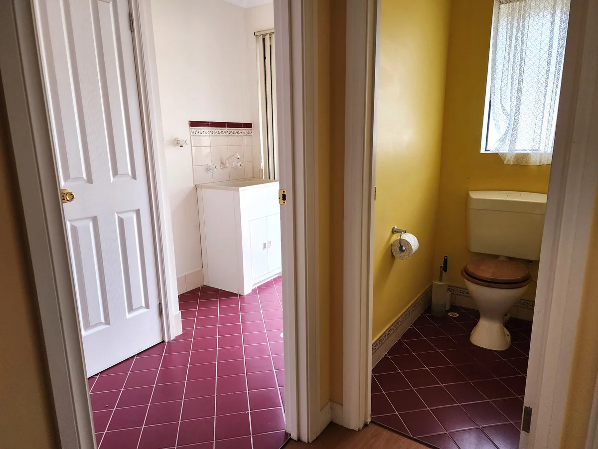 Image 12