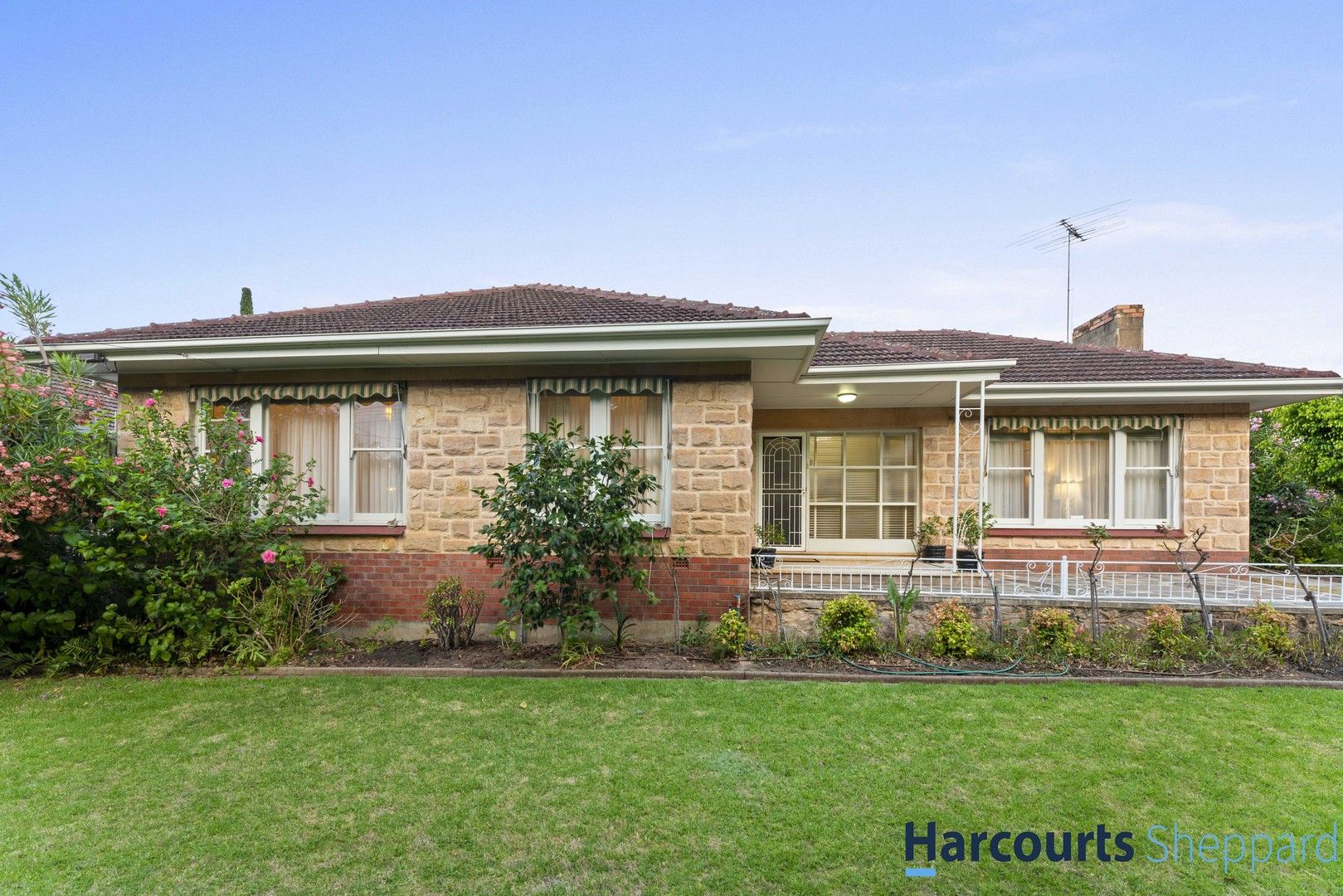 14 Burnell Street, Linden Park SA 5065, Image 1