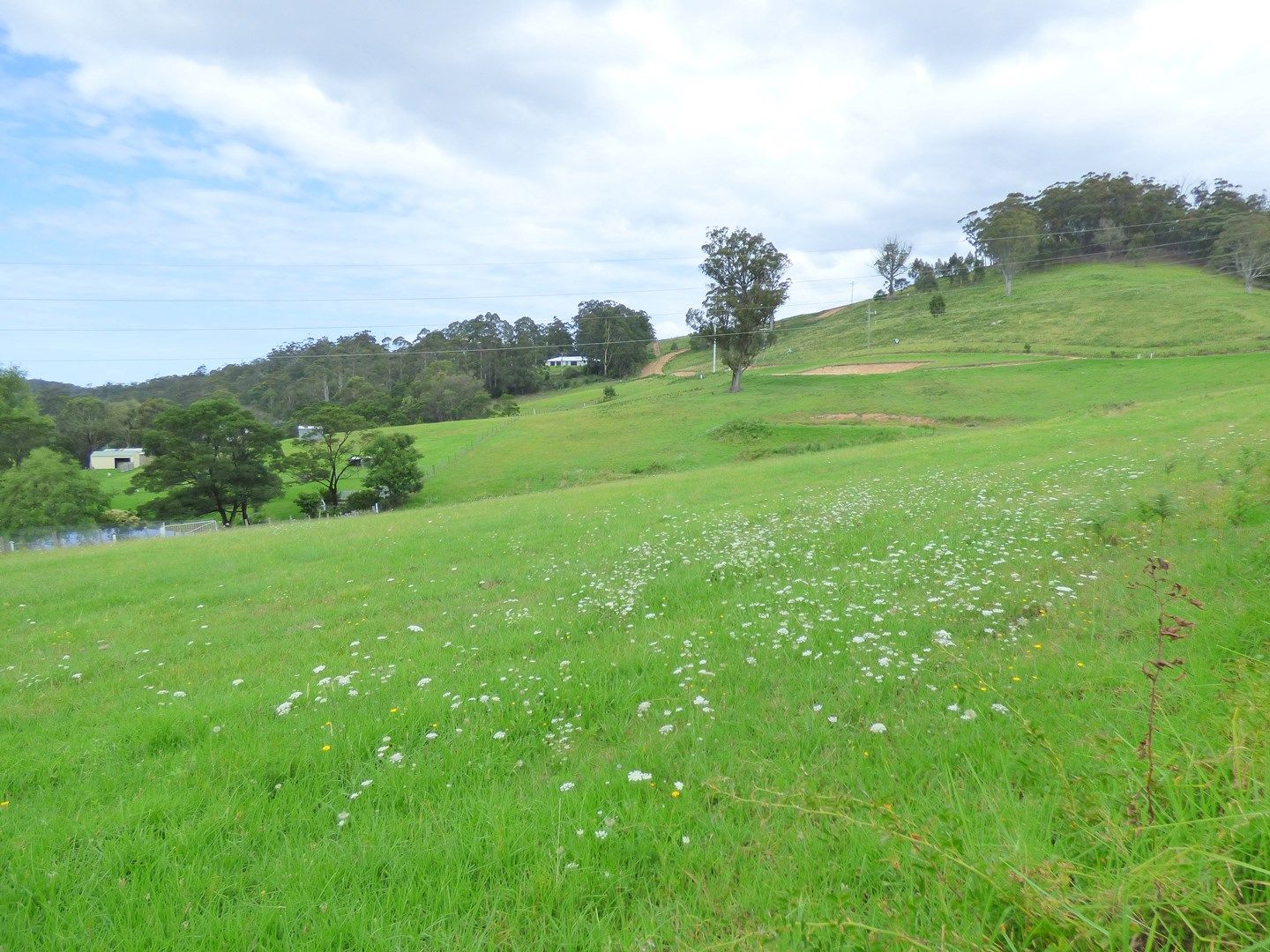 Proposed Lot/660 Mine Road, Wolumla NSW 2550, Image 0