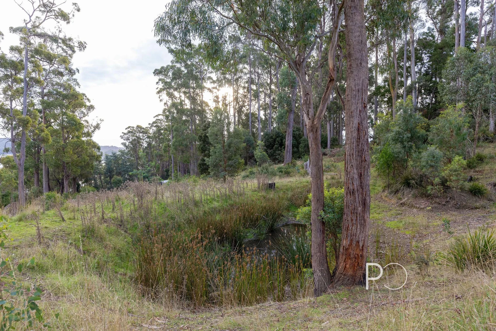 Image 13