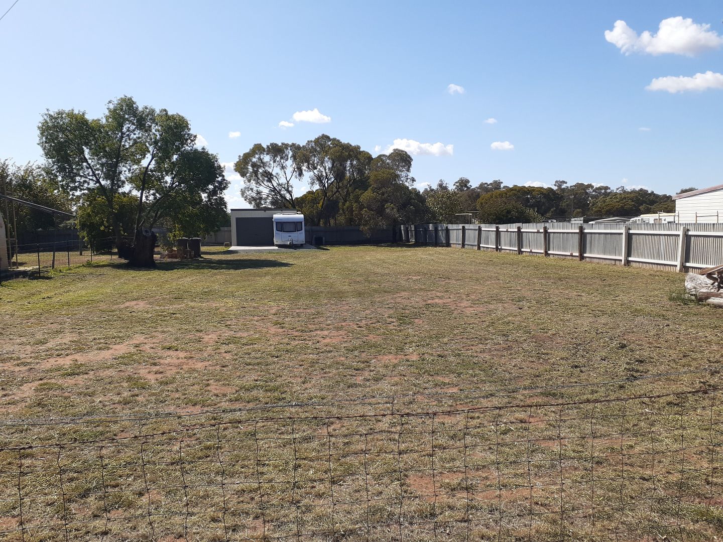 17 Ethel Street, Ungarie NSW 2669 Domain