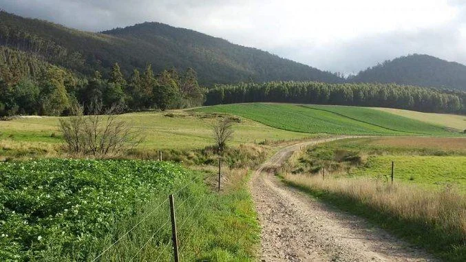 Image 15