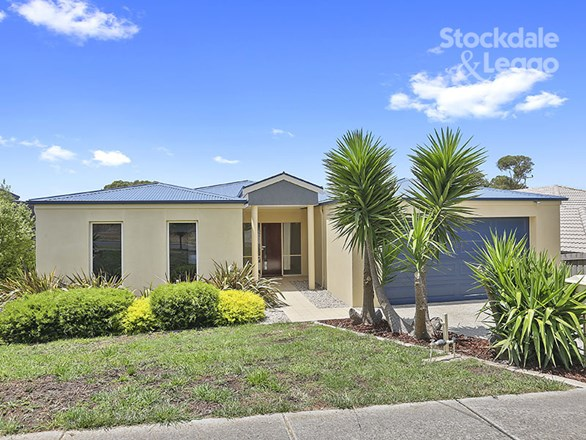 17 Stanfield Drive, Wandana Heights VIC 3216