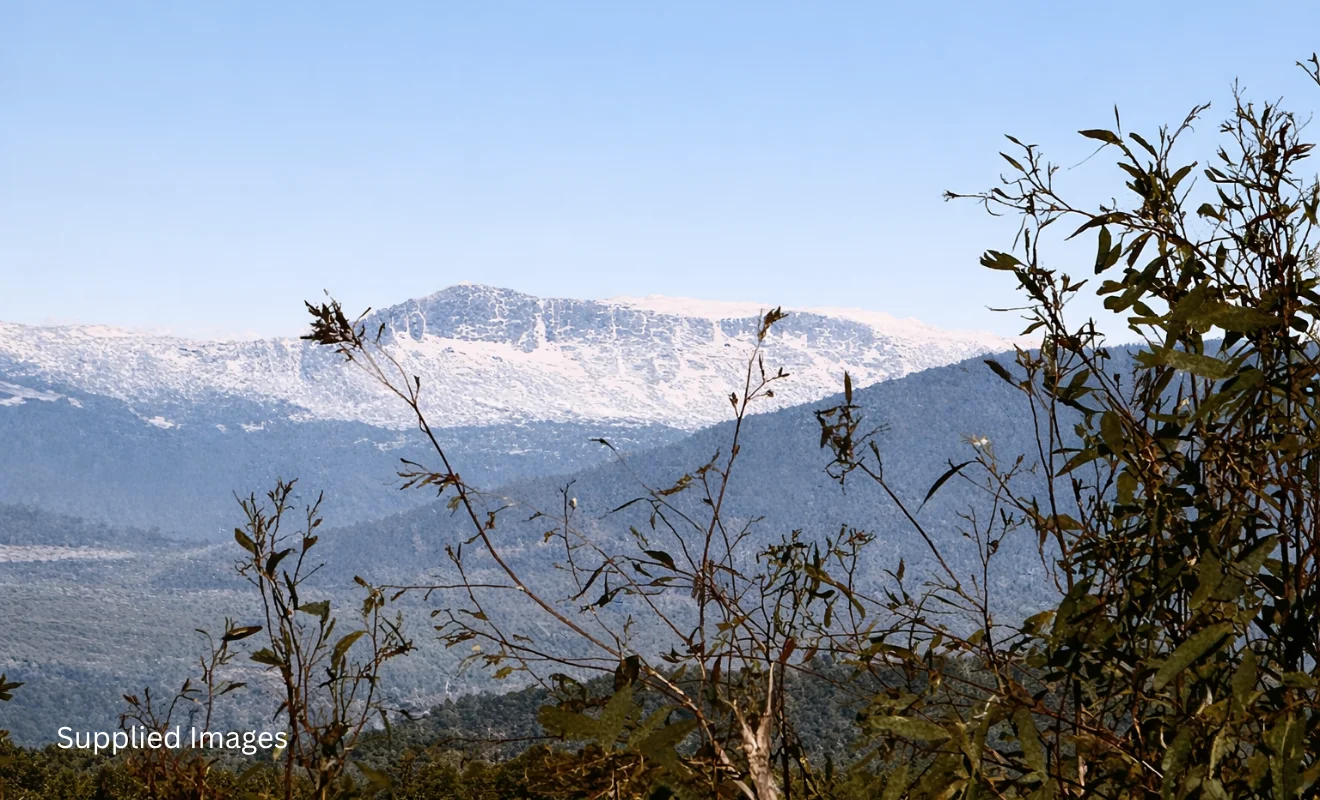 Additional image 56 of 42 Gardiners Creek Road, St Marys TAS 7215