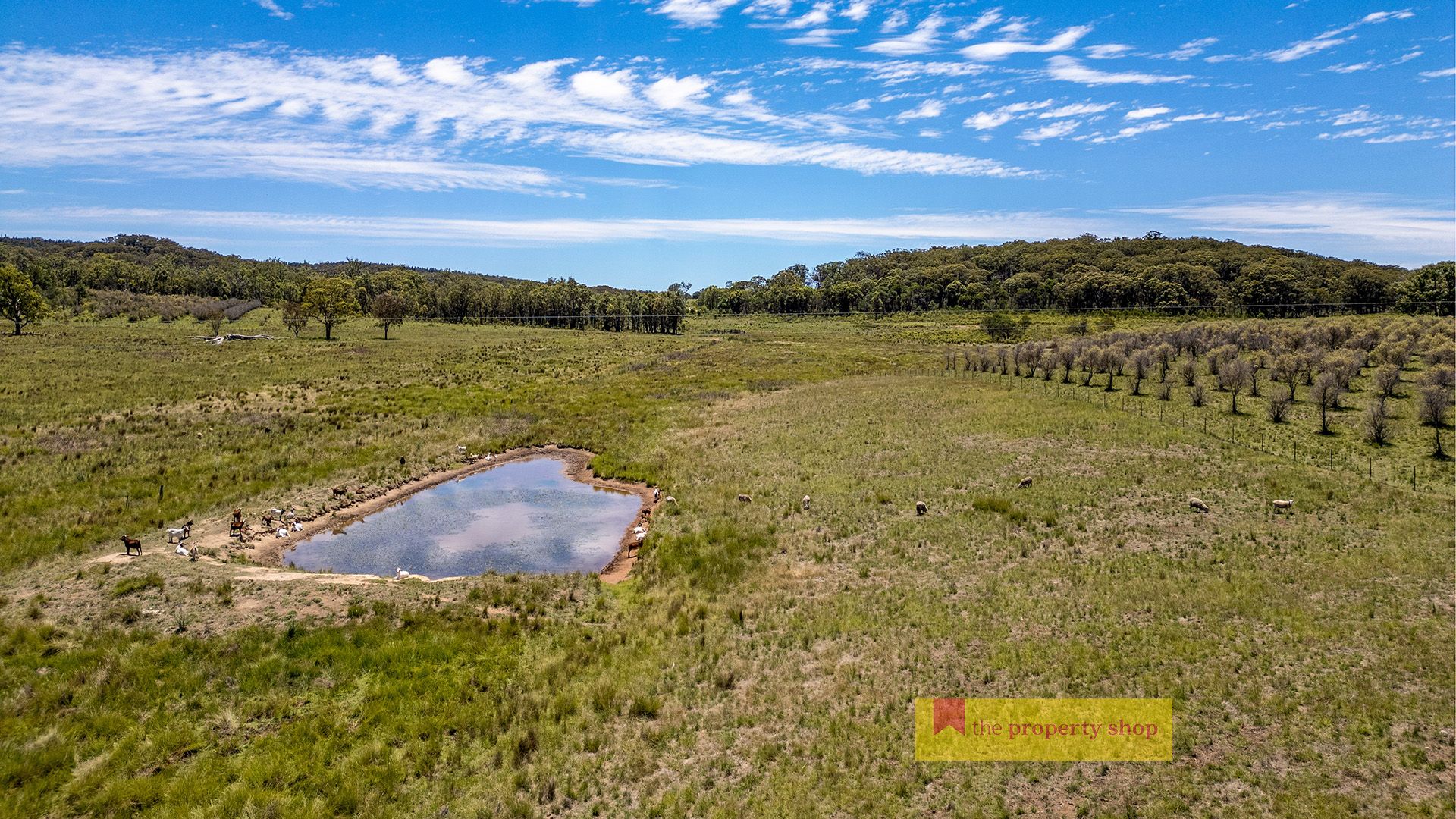 1732 Spring Ridge Road, Gulgong NSW 2852, Image 1