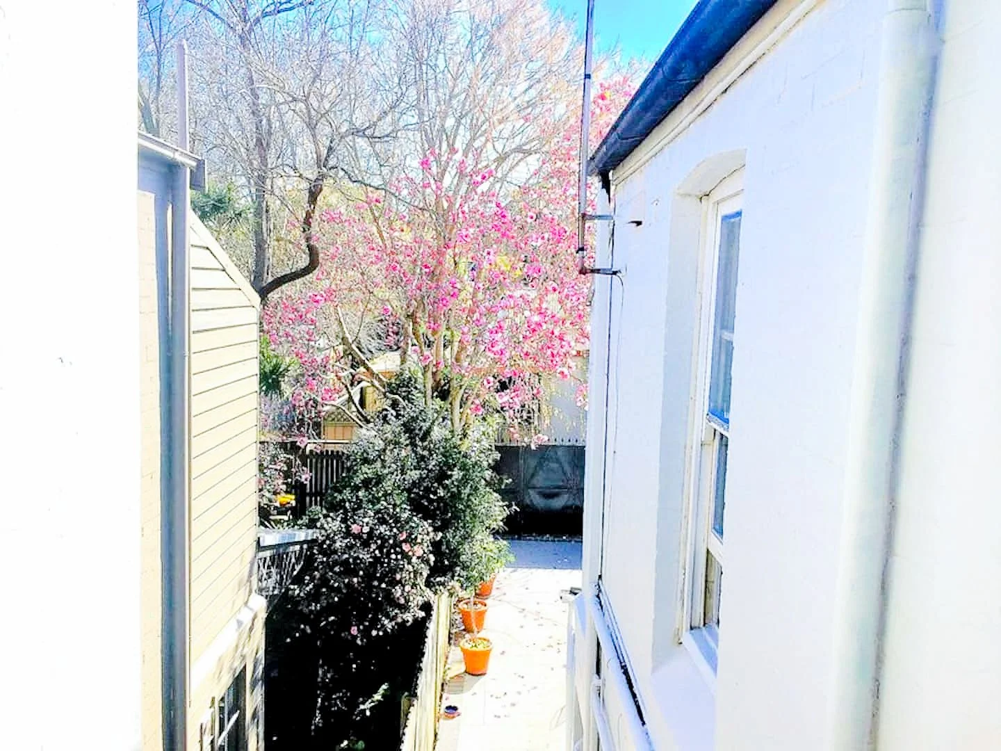 Additional image 14 of Newtown NSW 2042
