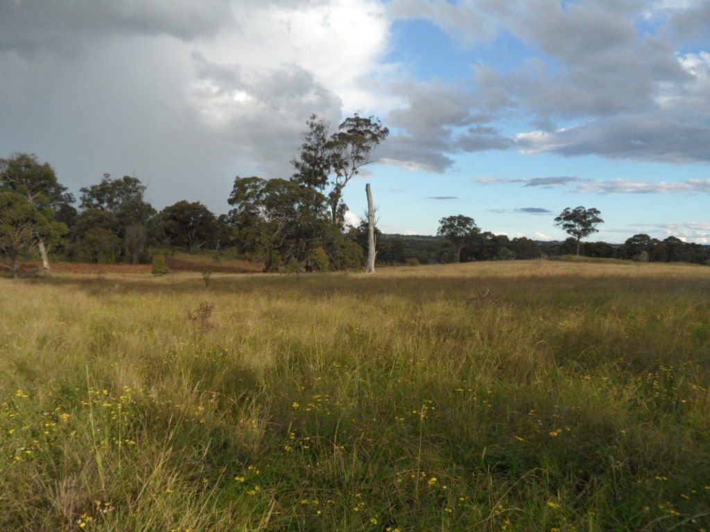 Lot 1 Cameron Road, Dalveen QLD 4374, Image 2