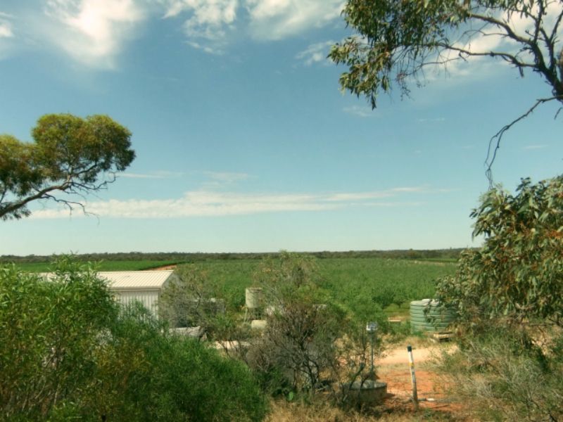 288 Costello Road, Loveday SA 5345, Image 2