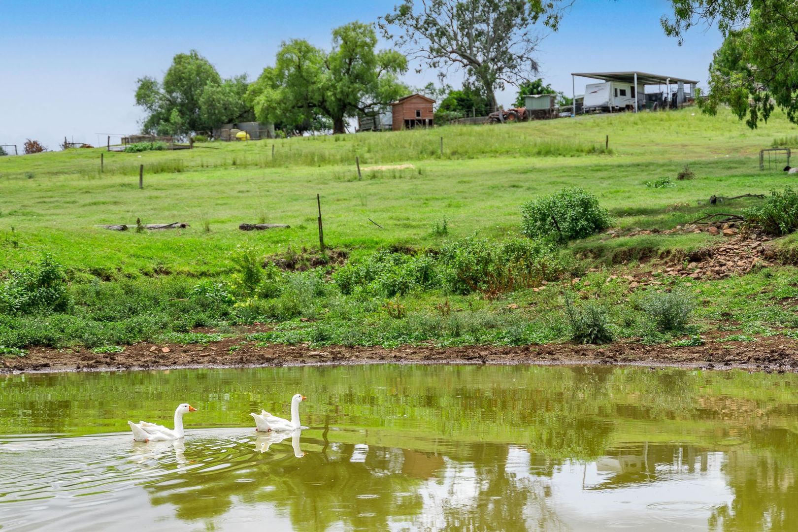 43 Harvey Road, Glenvale QLD 4350 House for Sale Domain