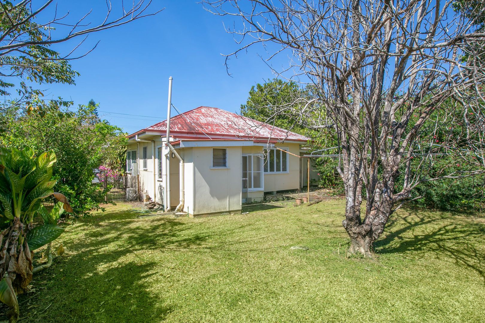 80 Balaclava Road, Earlville QLD 4870, Image 1