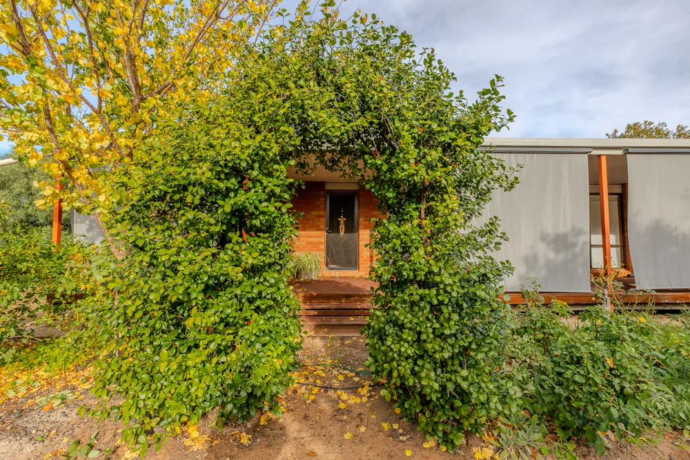 Image 20