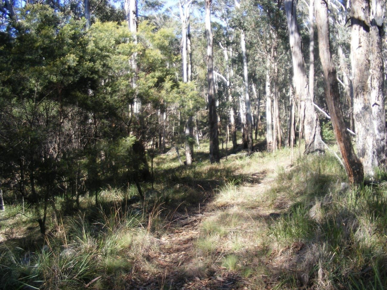 1000 Tablelands Road, Red Range NSW 2370, Image 2