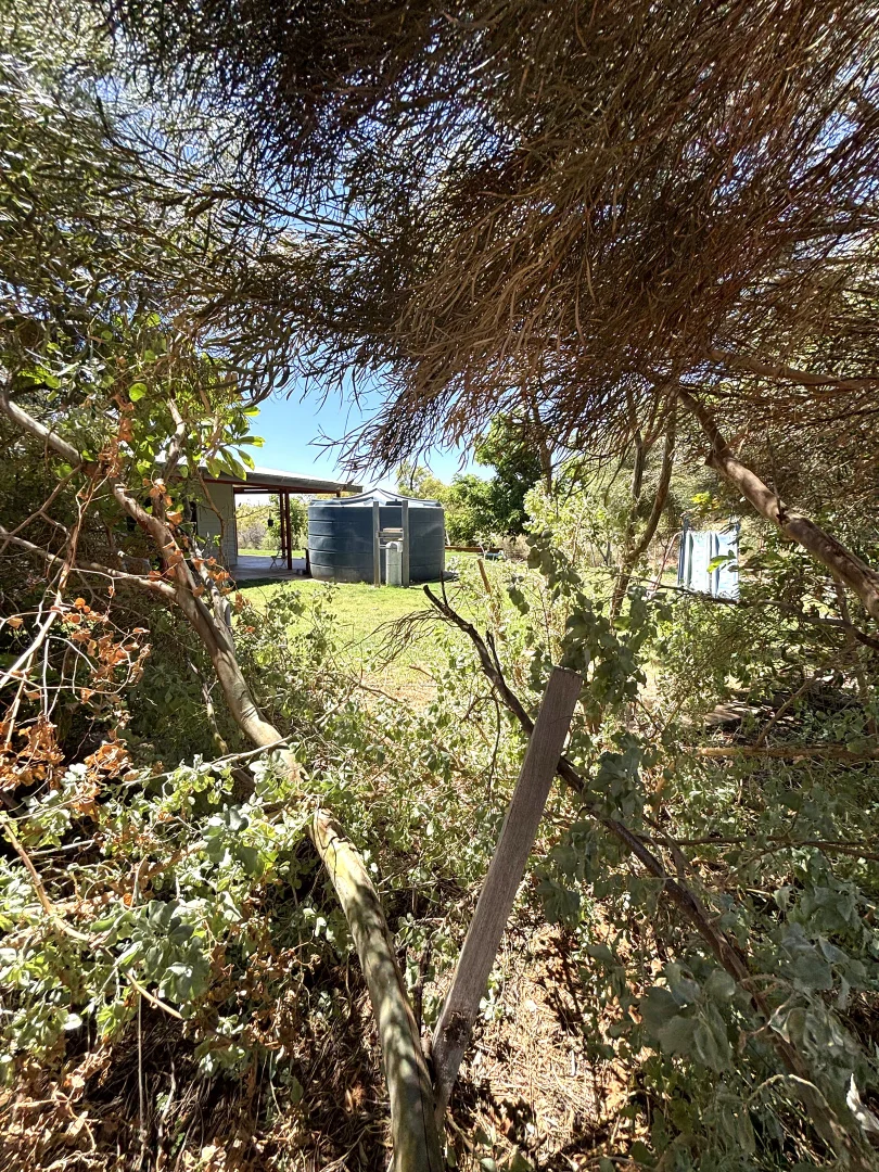 Additional image 51 of 163 Boor Street, Kingsford WA 6701