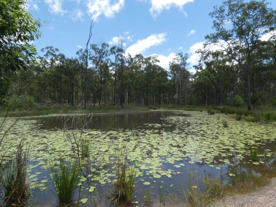 2090 Lowmead Road, Colosseum QLD 4677 House for Sale Domain