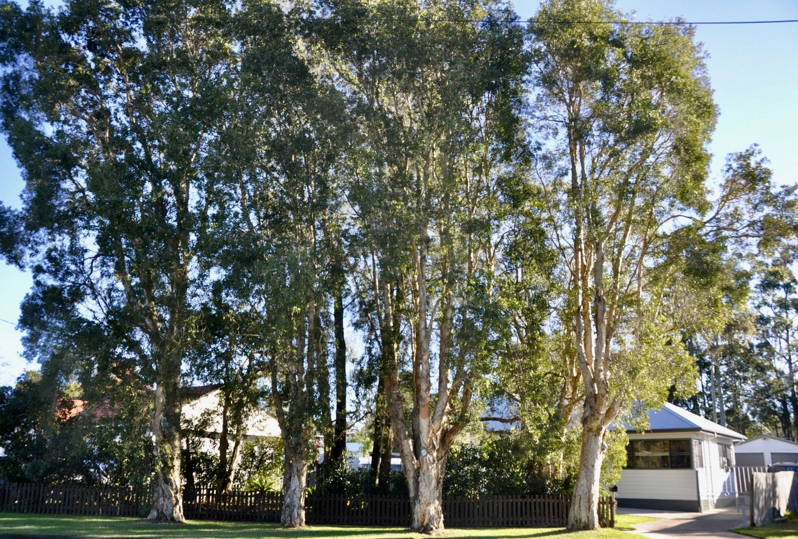 Blackalls Park NSW 2283 3 beds house for Sale, 1,000,000