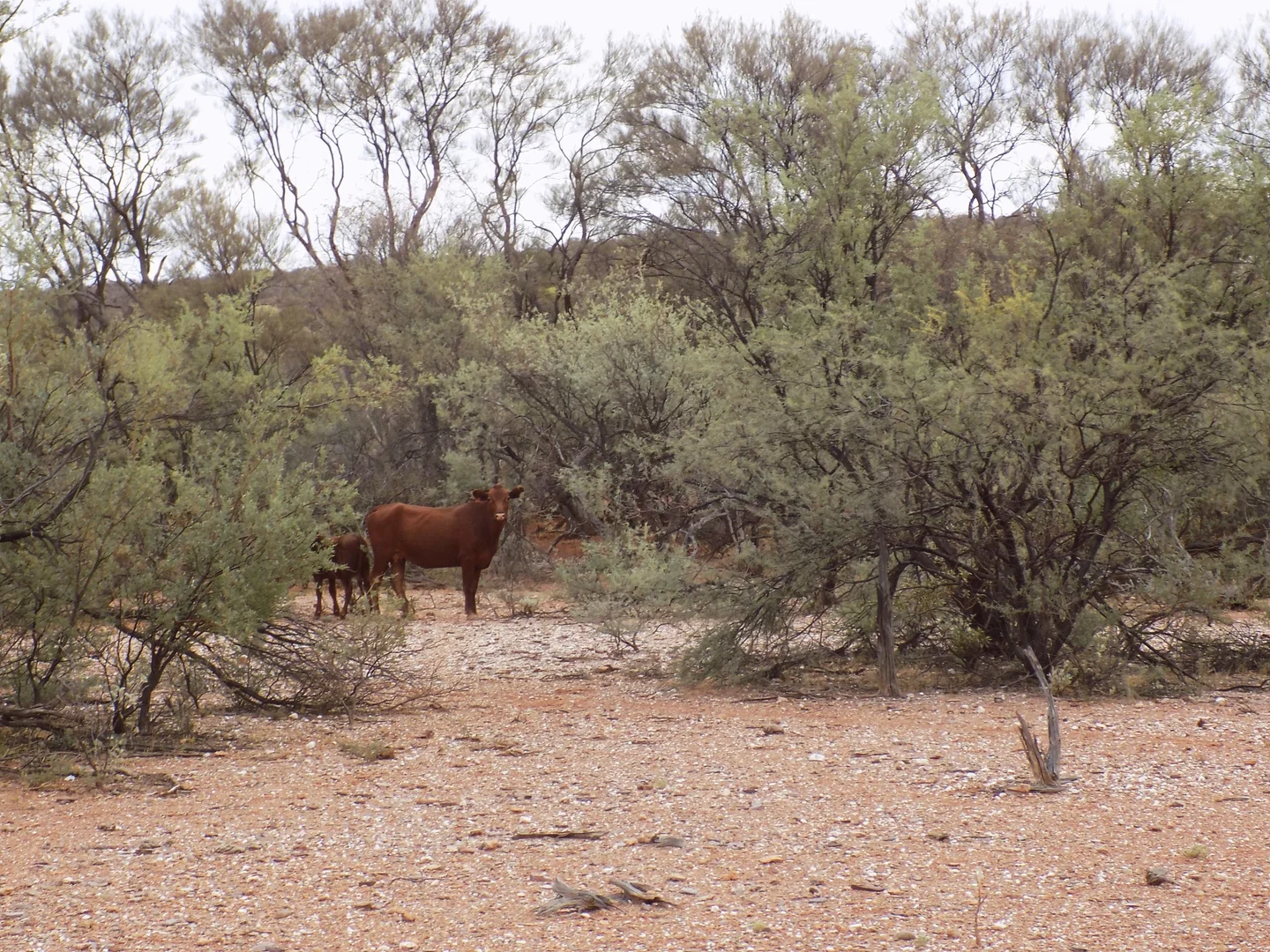 Image 16
