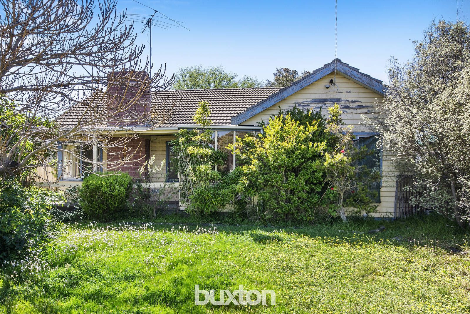 29 Digby Avenue, Belmont VIC 3216, Image 1