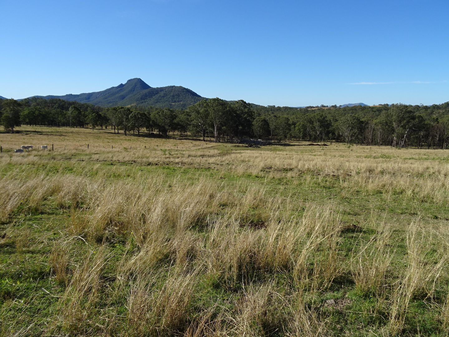 Moogerah QLD 4309, Image 1