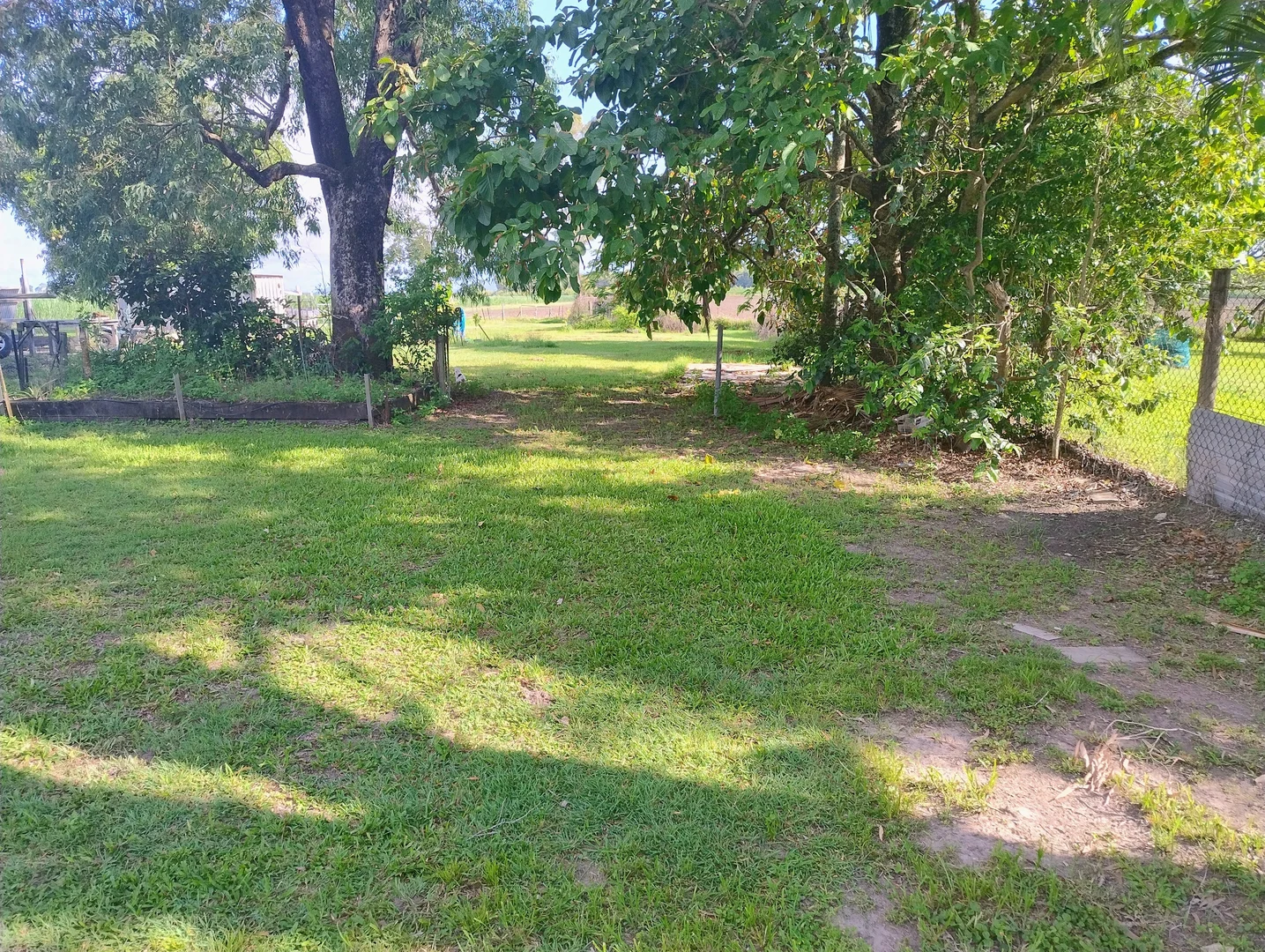 Image 15
