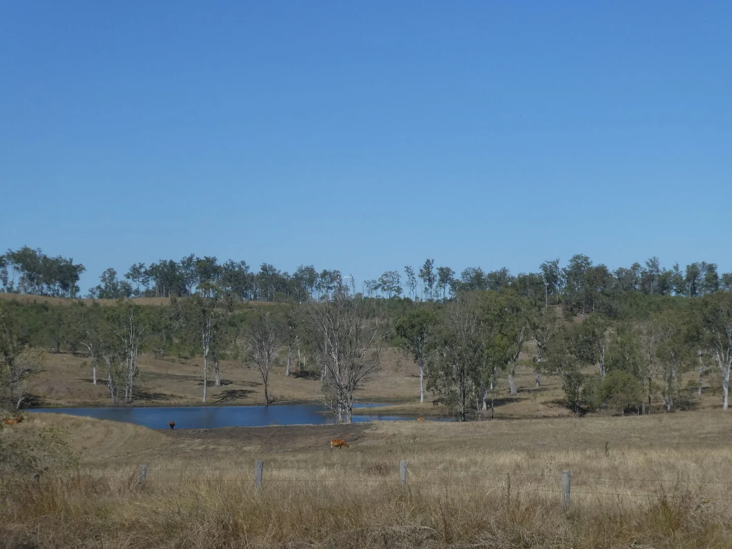 Image 11
