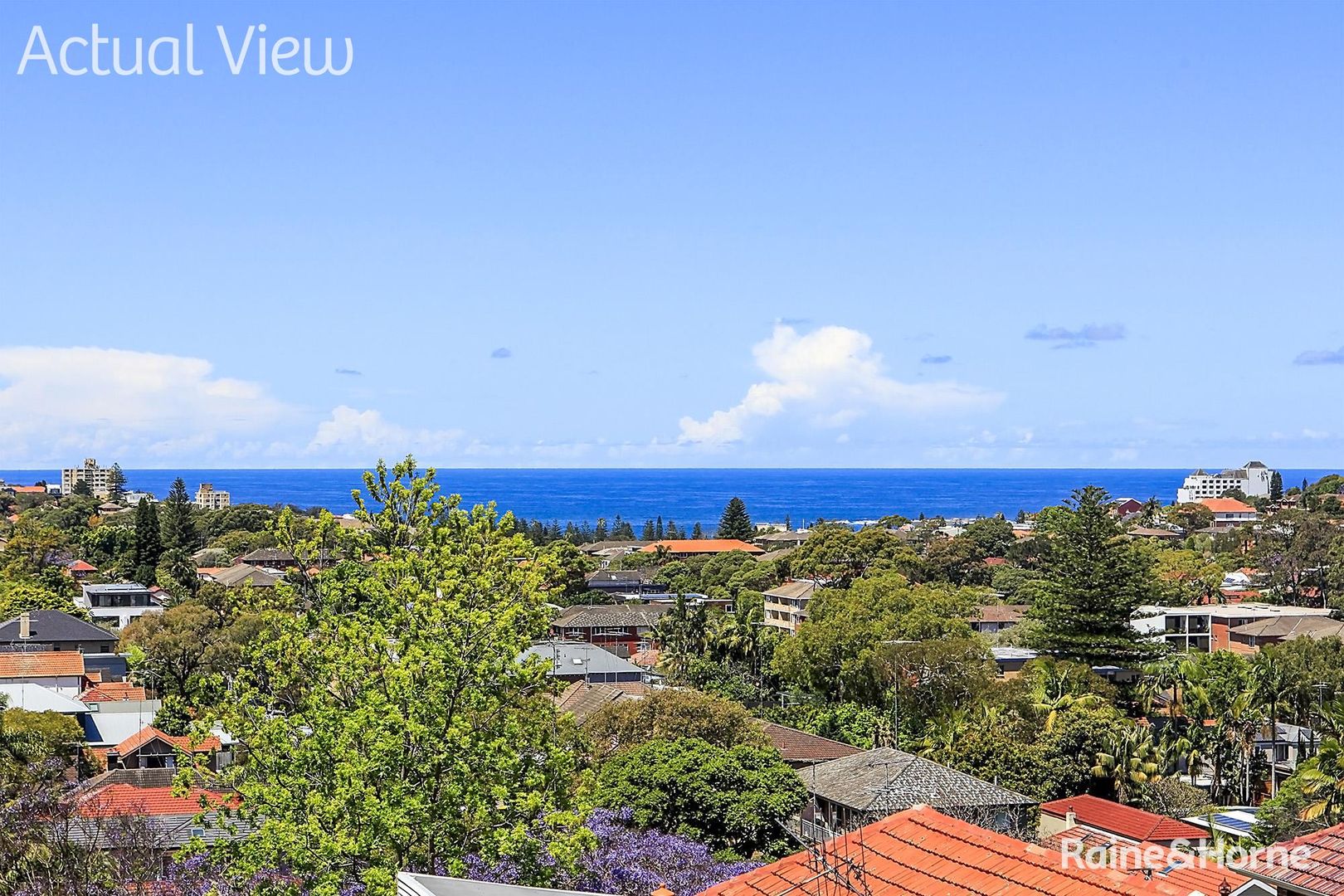 3/14 Pitt Street, Randwick NSW 2031, Image 1