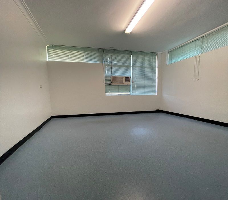 146 Polding Street, Smithfield NSW 2164 House For Rent Domain