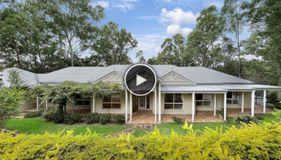 Picture of 24 Logan Place, PULLENVALE QLD 4069