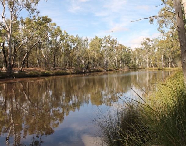 Lot 96 Halliford Road, Ducklo QLD 4405