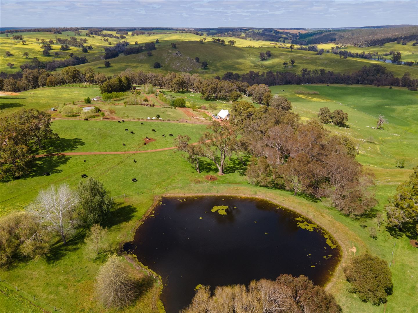 ' Winniwood Farm', Winnejup WA 6255, Image 2