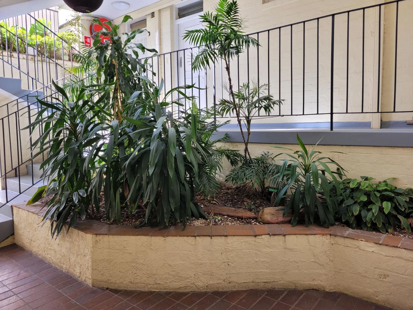 Additional image 13 of 14/147 Brougham Street, Woolloomooloo NSW 2011