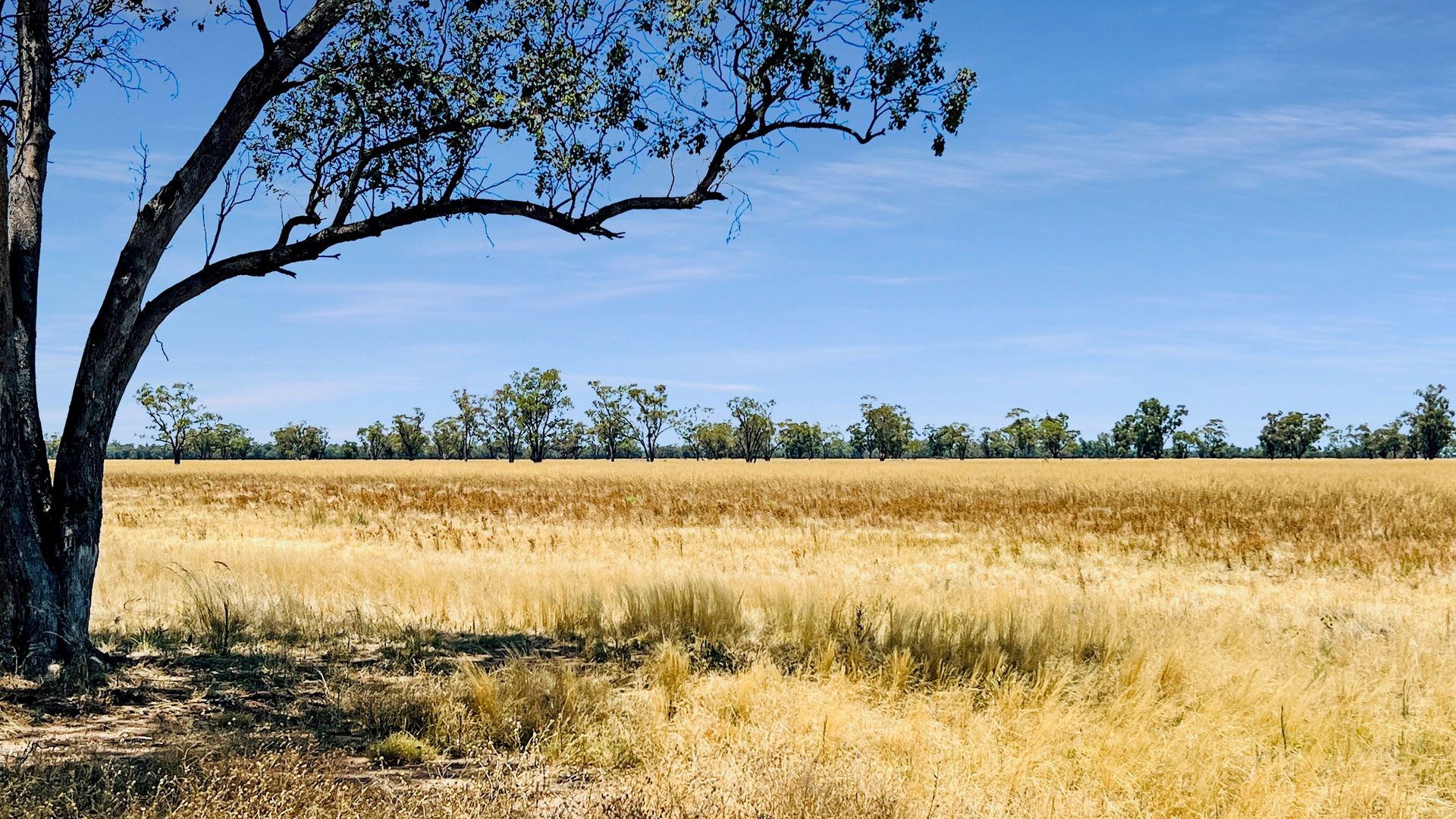 "Wilberoi"/6410 Rangari Road, Boggabri NSW 2382, Image 2