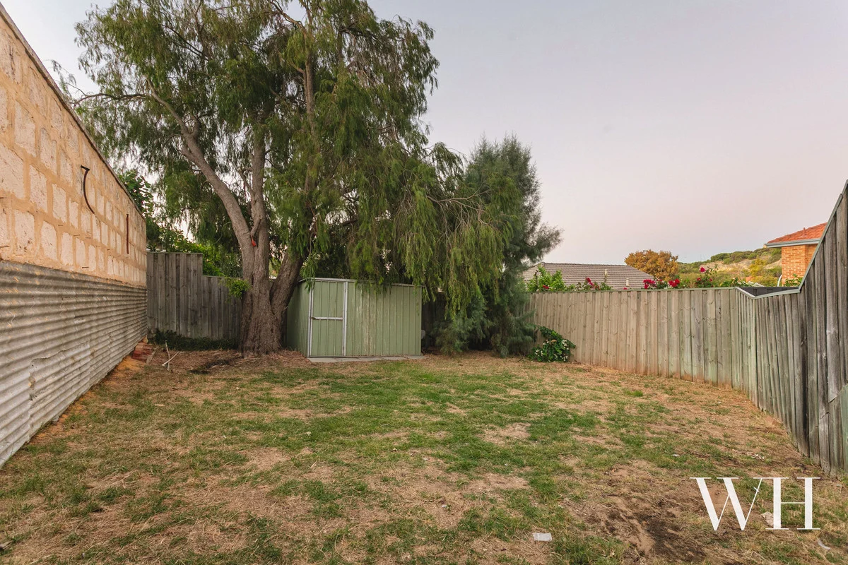 Image 29