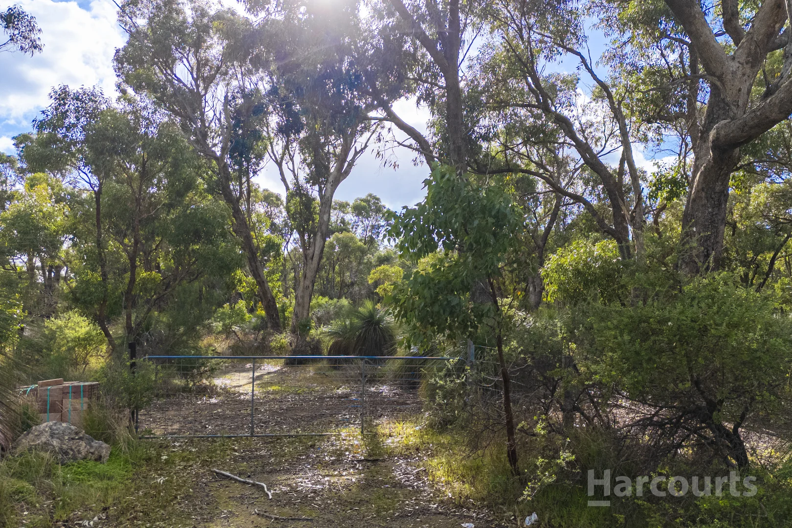 Image 10