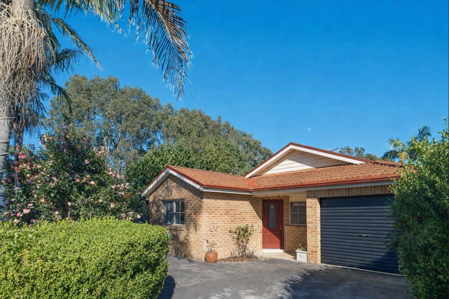 Primary image of 733E Warringah Road, Forestville NSW 2087